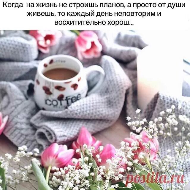 Каждый день жизни уникален. Каждый уникален и неповторим. Каждый новый день неповторим. Цитата дня. Красивые мгновения жизни.