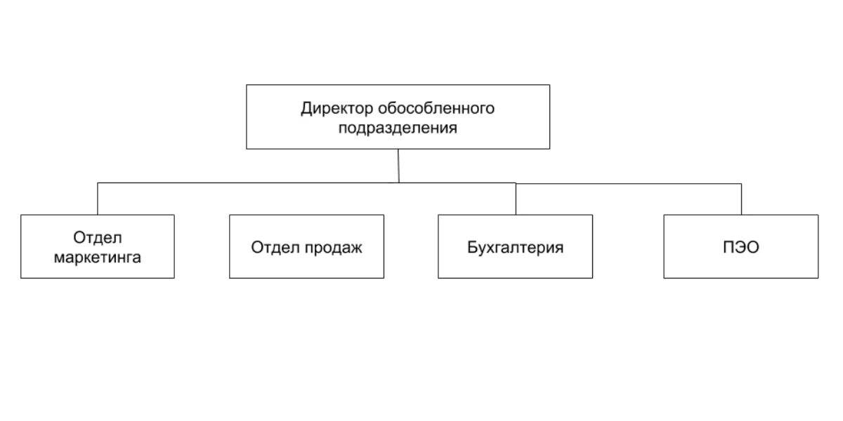 Организационная структура обособленного подразделения организации. Структура организации с обособленными подразделениями. Структура предприятия с обособленными подразделениями. Оргструктура обособленного подразделения. Специфические подразделения