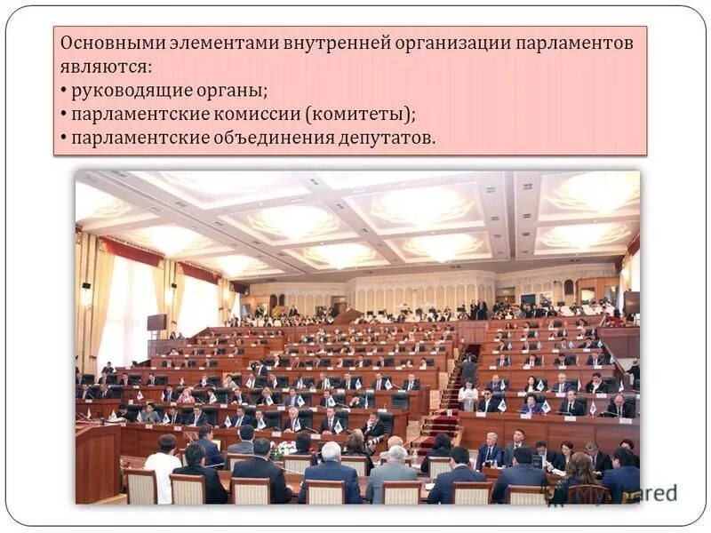 Парламент зверей. Палаты общин (house of commons). Парламент предприятие. Парламент великобритании. Заседание парламента шотландии.