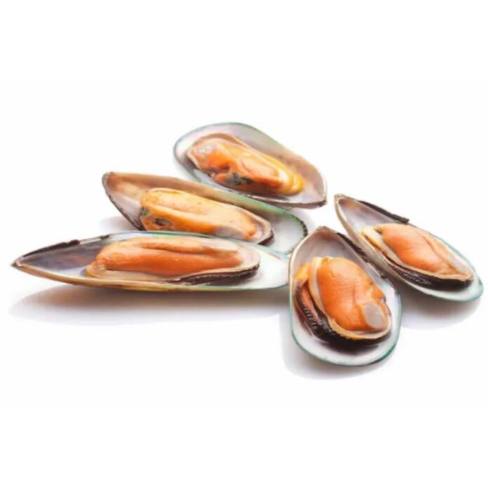 Мидии киви Новозеландия. Мидии киви Greenshell Mussels. Мидии гигант киви. Мидии киви Sanford.