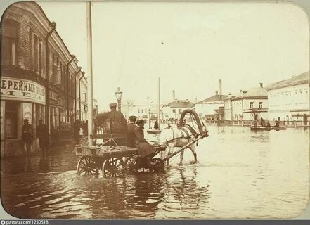 1895 год
