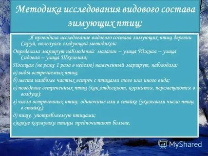Зимовщик по составу