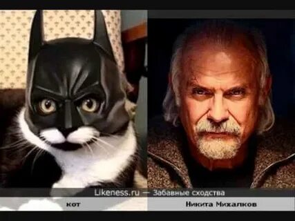 Likeness