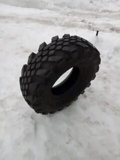 Кинг кобра