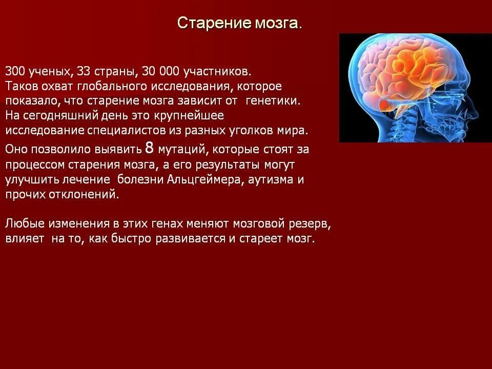 Нестареющий мозг. Старение головного мозга. Процесс старения мозга. Возрастные изменения мозга. Мозг в старости.