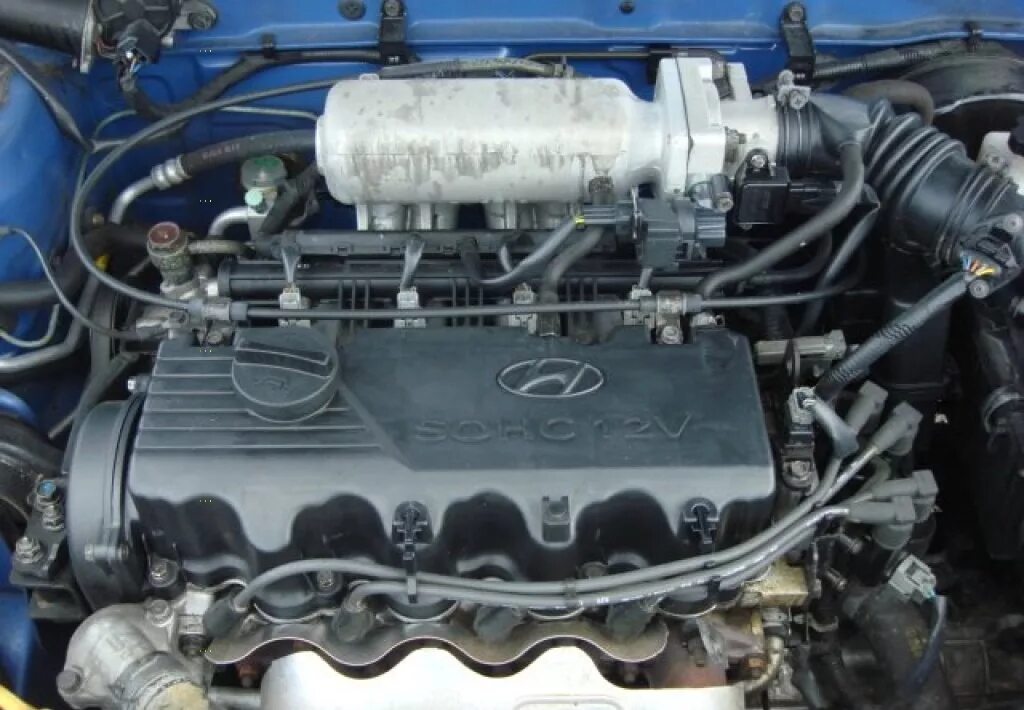 Хендай акцент тагаз какой двигатель. Хендай акцент двигатель 1.5 12 клапанный. Мотор Hyundai Accent 12 клапанный. Двигатель Хендай акцент 12 клапанов. Двигатель Хендай акцент ТАГАЗ 1.5 12 клапанов.