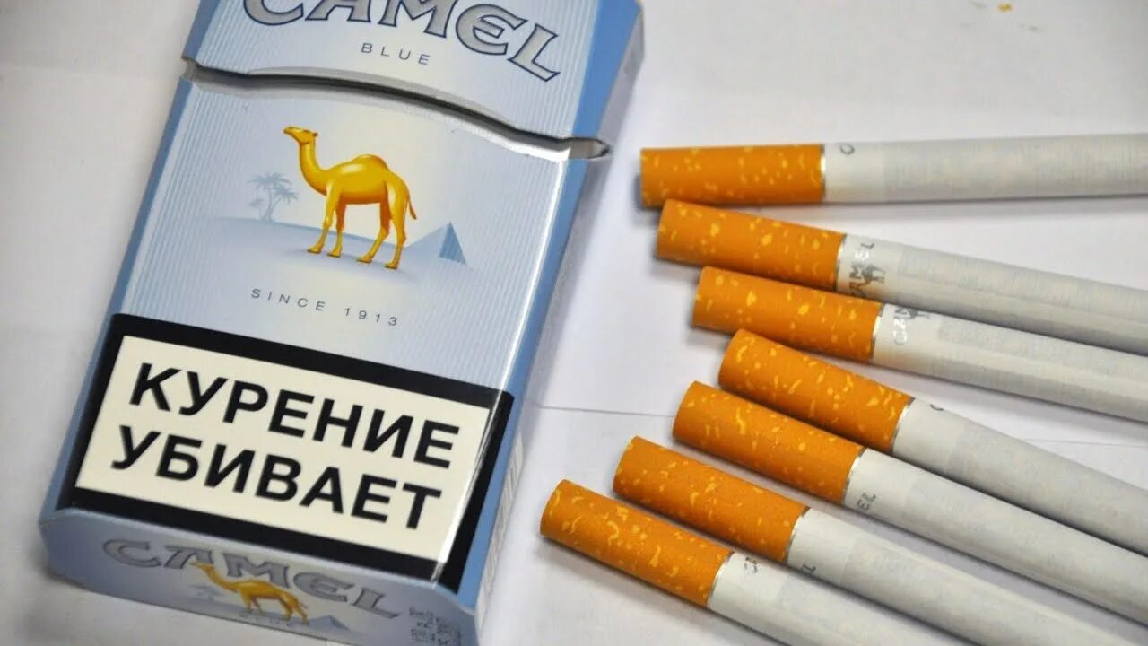 Кэмел сигареты 2025. Сигареты camel blue. сигареты кэмел оригинал блю (camel original blue). кэмел сигареты голубая пачка. camel сигареты синие.