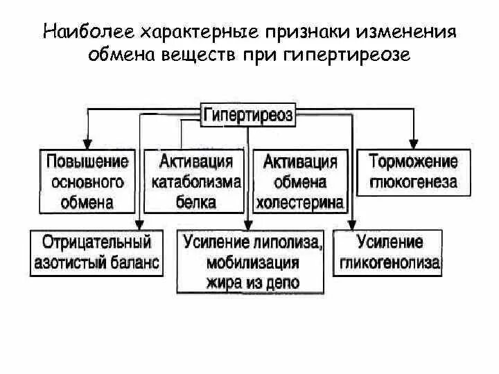 Внутренние изменения признаки. Изменения обмена веществ при гипо- и гипертиреозе. Нарушения обмена при гипертиреозе. Гипертиреоз влияние на метаболизм. Изменения метаболизма при гипо- и гиперфункции..