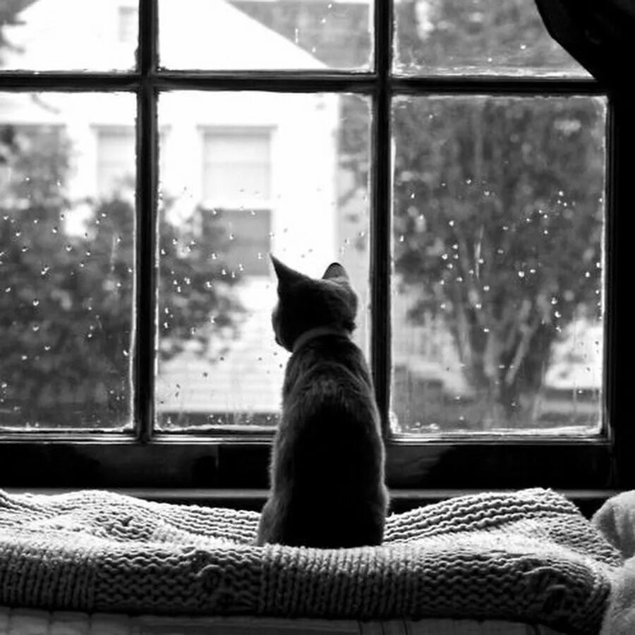 Счастье это когда проходит мимо. Счастье это когда ты идешь домой и тебя там ждут. Счастье это когда картинках. Счастье когда дома ждут. Счастье это когда идешь домой.