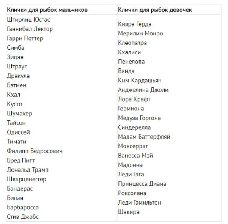 Какую кличку придумать
