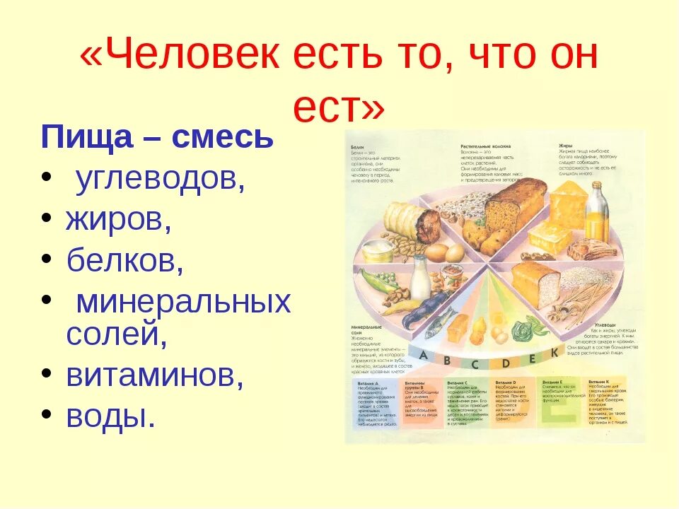 Пища человека белки жиры и углеводы. Зачем организму нужны белки жиры углеводы. Проект на тему ты то что ты ешь. Человек есть то что он ест картинки. Для чего человек питаетс.