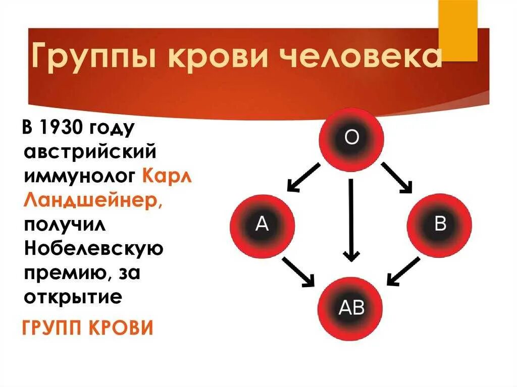 Классификация групп крови человека. Группа крови. Крор группы. Кровь группы крови.