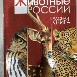 Включи книга животные