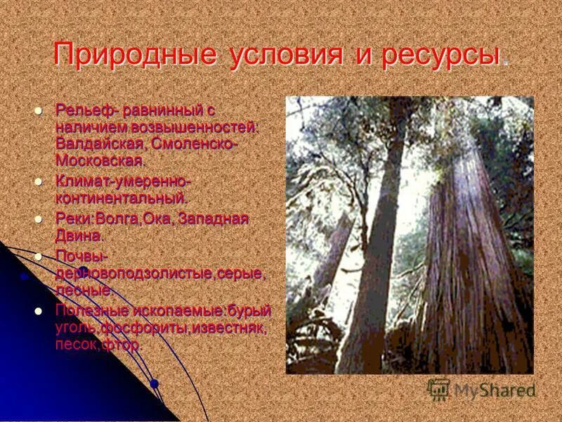 Природные условия и ресурсы рельеф. Природные богатства москвы. природные условия москвы. природные условия и ресурсы московской области. природные условия московской области.