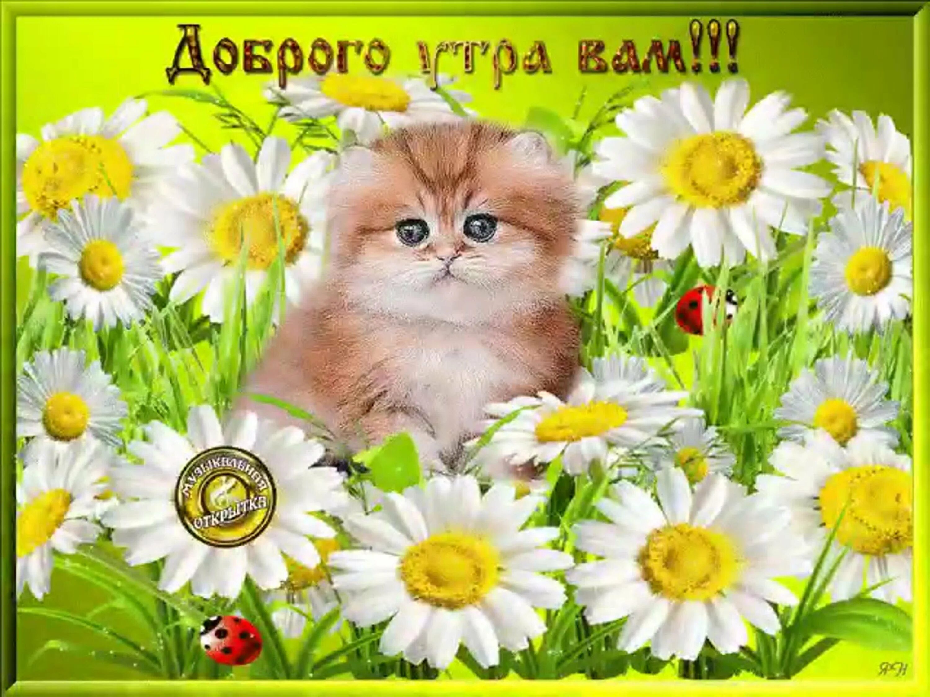Доброе утро с пожеланиями картинки животных. Открытки доброе утро. открытки с добрым утром красивые. доброго вам утра. с добрым утром картинки красивые.