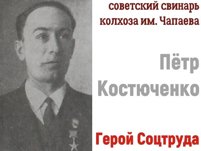 М п костюченко. Костюченко Петр Павлович. Костюченко Петр Григорьевич Тимашевск. Костюченко Александр Петрович генерал. Свинарь Иван Петрович.