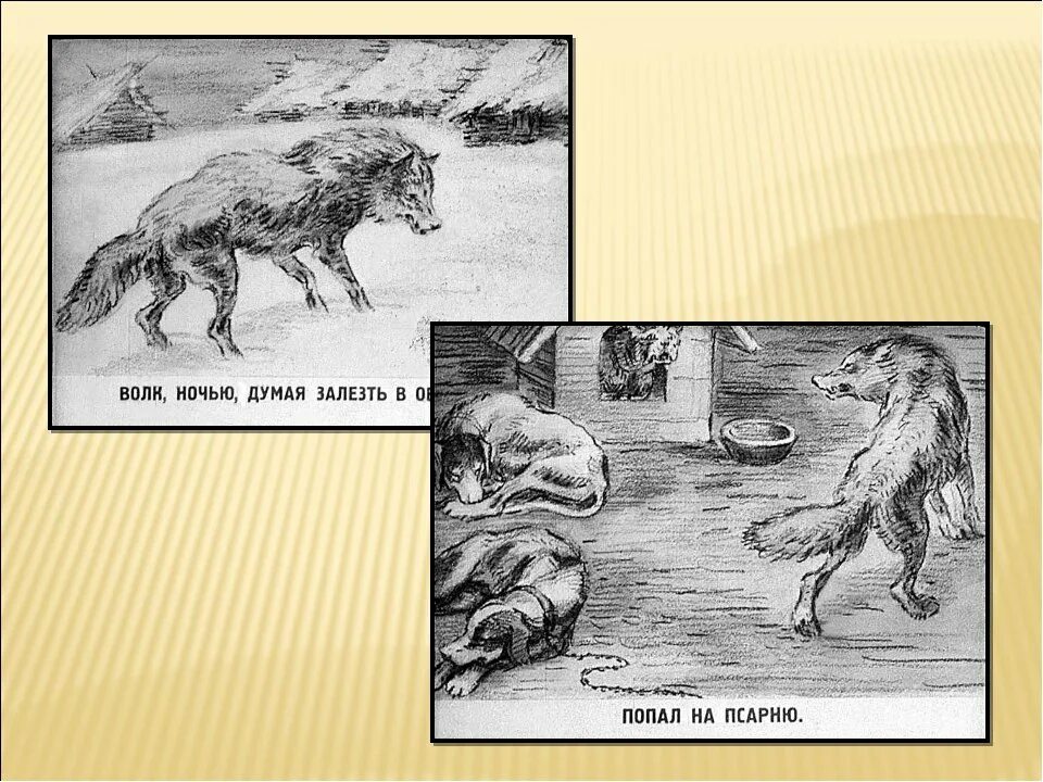 Волк на псарне событие. Волк на псарне. Волк на псарне басня. Волк на псарне Крылова. Djkr YF gfchyt.