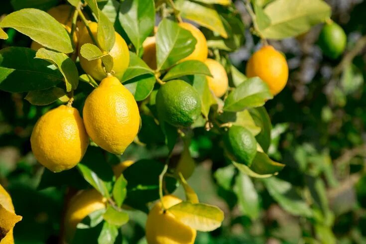 12 рецептів ідеальної глазурі для пасок Рецепти, Догляд за дітьми, Краса