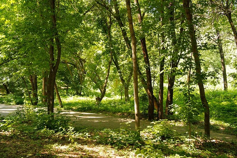 Молодежный парк в цюрупинске. Парк влксм витебск. Барановичи парковая. Г самара загородный парк. Барановичи парковая.