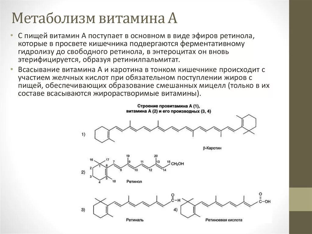 Обмен витаминов биохимия. Схема синтеза витамина а ретинола. Схема метаболизма витамина к. Ретинол ретиналь ретиноевая кислота. Превращение витамина а в ретиналь.