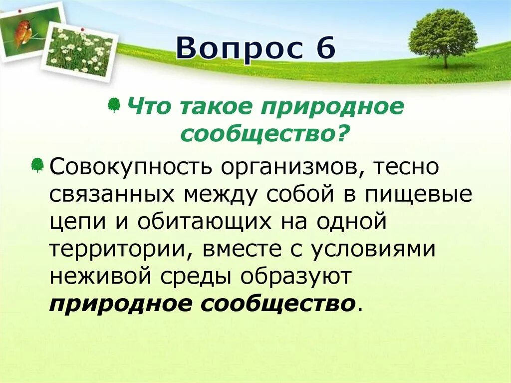 Сообщение про природное сообщество 5 класс. Природные сообщества. природные сообщества презентация. природное сообщество сад доклад. природные сообщества 5 класс презентация.