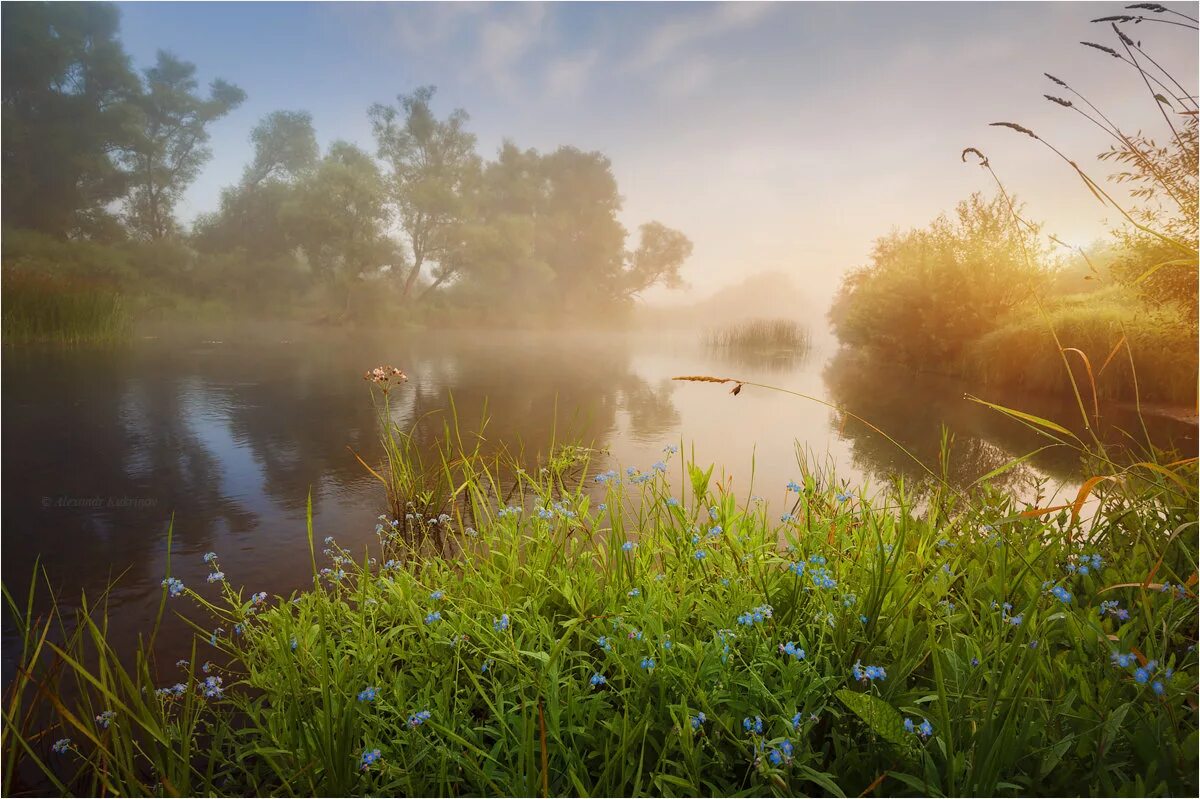 Природа рассвет. Осенний закат туман. Хмурое августовское утро. Пасмурное летнее утро. Лес река туман.