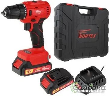 Wortex 2025 1 dli
