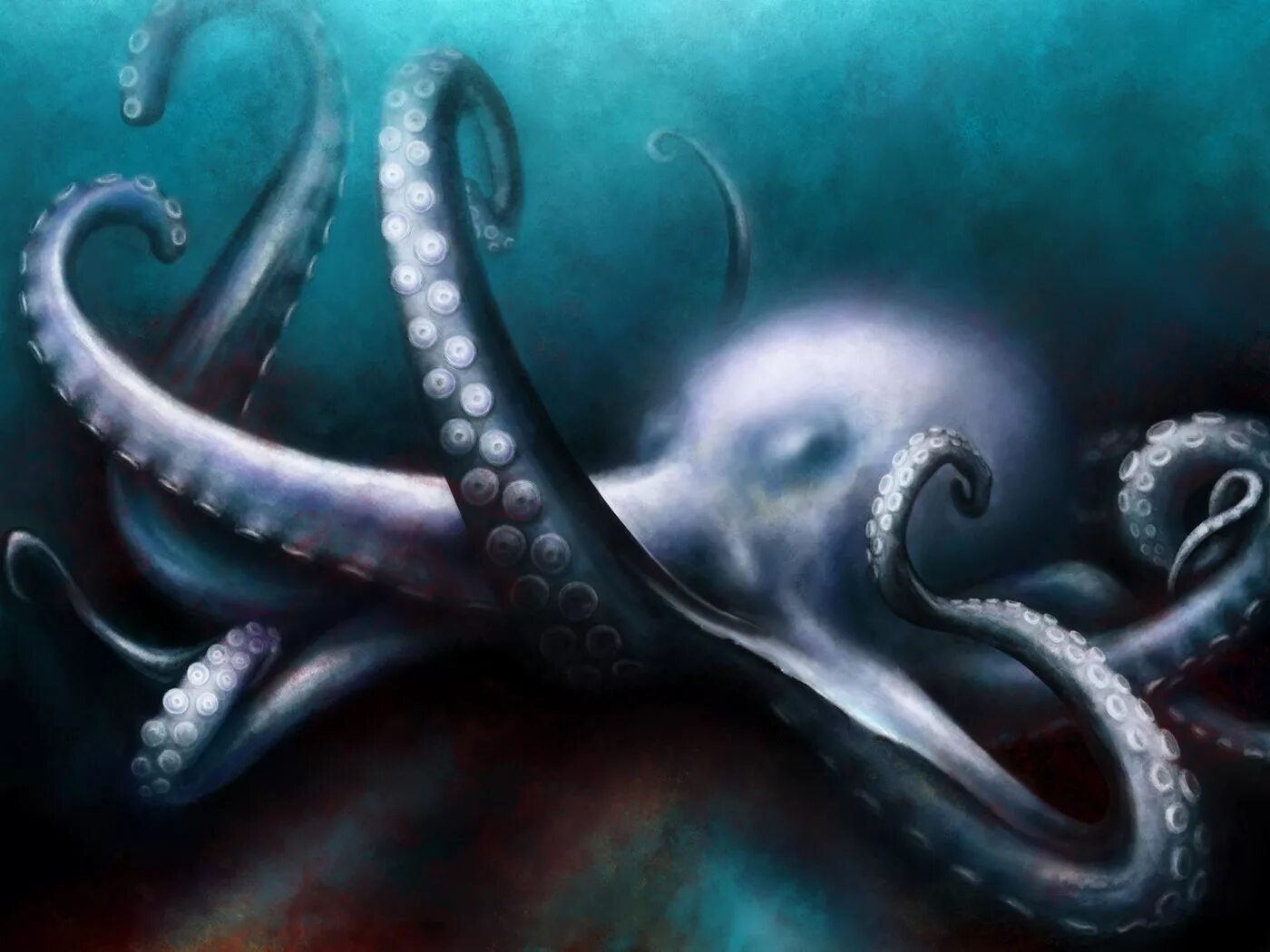 щупальце род