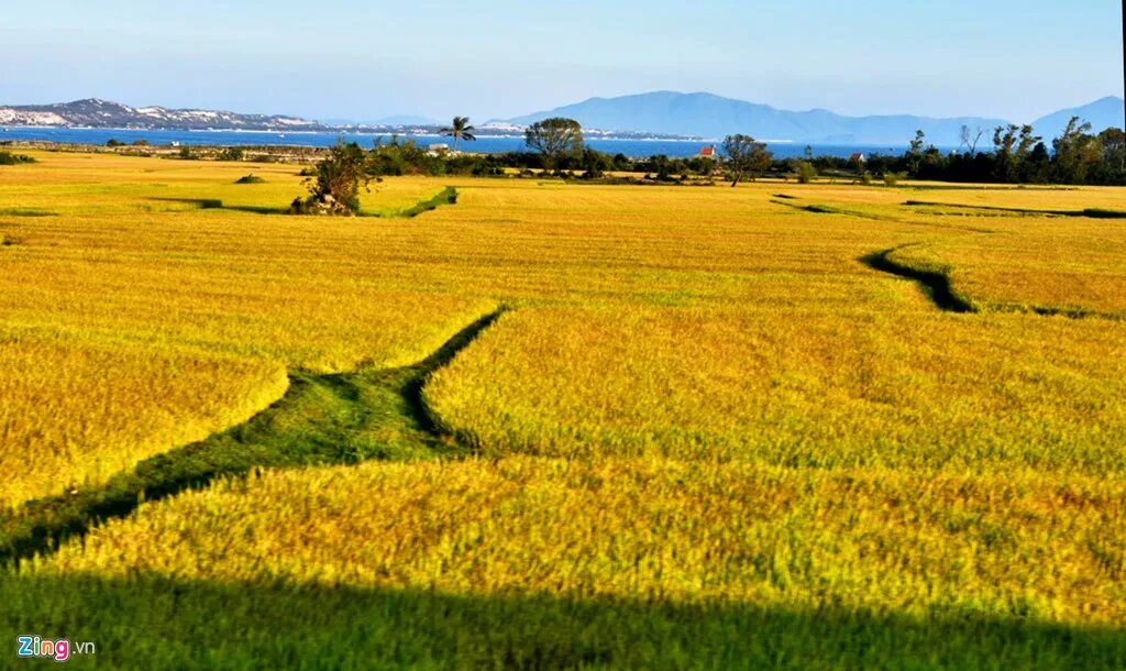 Thơ tiếng việt. Song huong карта. Вьетнамская деревня рисунок. Ve que. May bay giay tranh dam my thuyet minh.