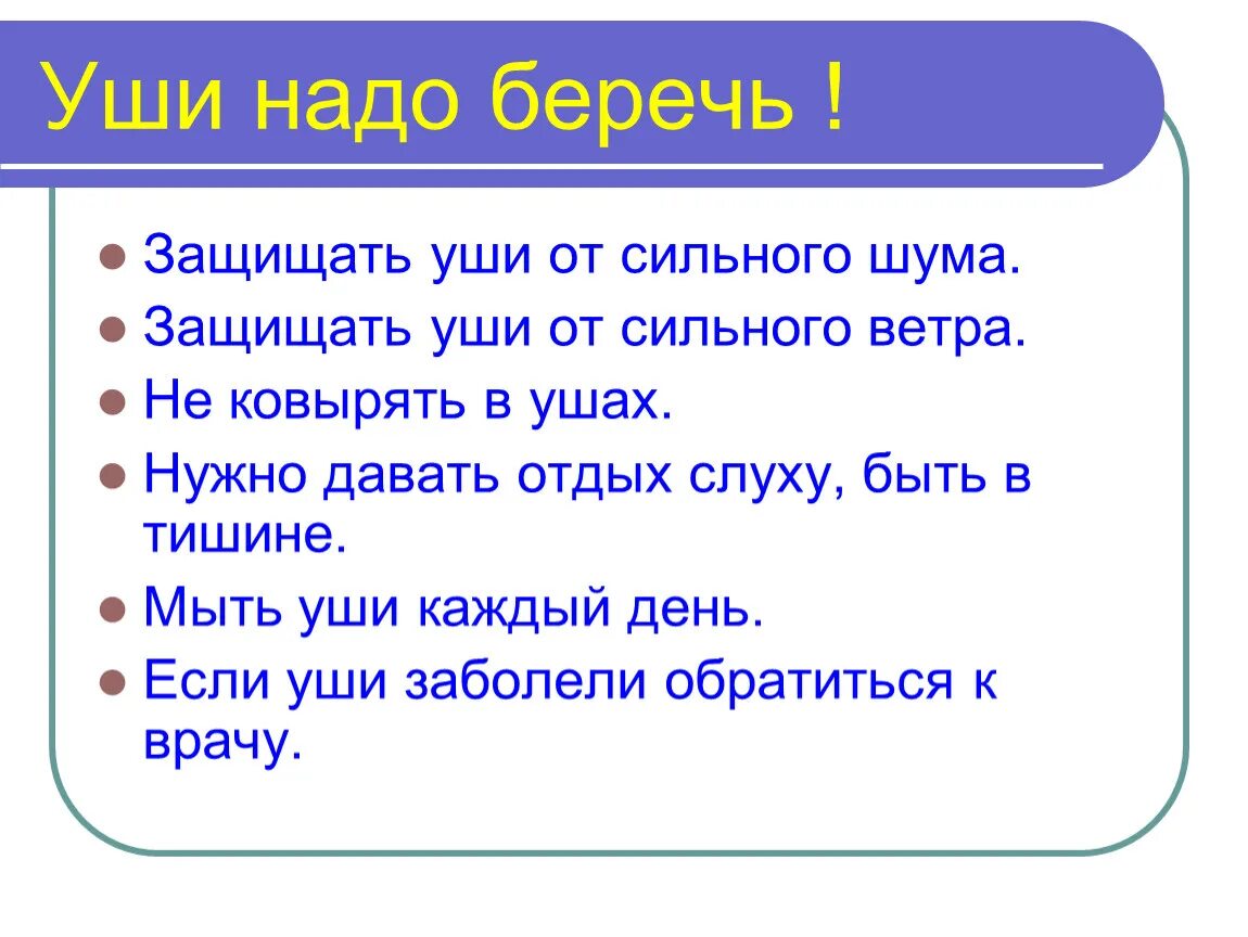 Для чего нужно ушко