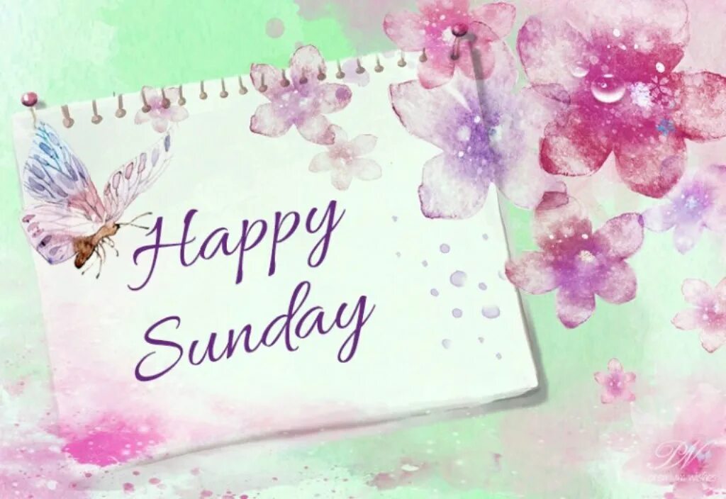 Happy sunday promo. Happy sunday перевод на русский. Открытки good morning sunday. Have a wonderful sunday. Good morning sunday картинки.