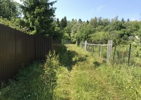 Участок снт пушкинский московская область