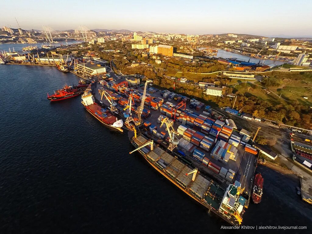 Import line. Логистика. Грузовой порт владивосток. Логотип ооо импорт. Экспорт.