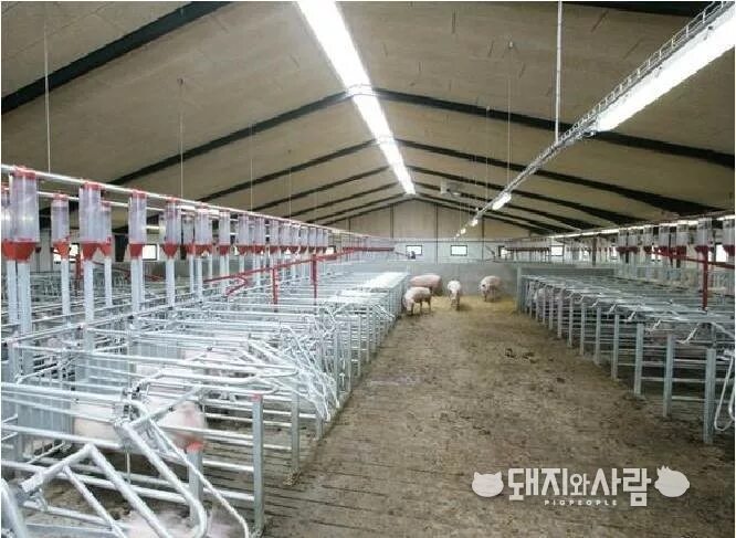 Рассказовский свиноводческий комплекс. Ооо раско рассказово. Колмаков рассказово. Стройки тамбова. Свиноводческий комплекс агроэко.