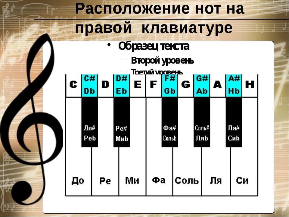 Почему 13 нот. Расположение нот на клавиатуре. Расположение нот на фортепиано. Ноты на клавишах. Расположение нот на пианино.