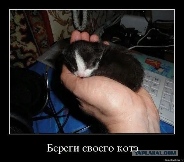 Чилиться это
