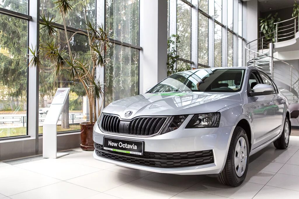 Skoda Octavia 2021. Skoda Octavia 2022. Купить октавию в минске