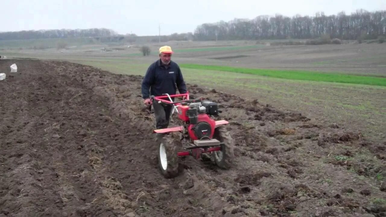 Прополка междурядий картофеля мотоблоком. Мотоблок Пахарь 8 л.с. Копка картофеля т25 культиватором. Сажаем под плуг