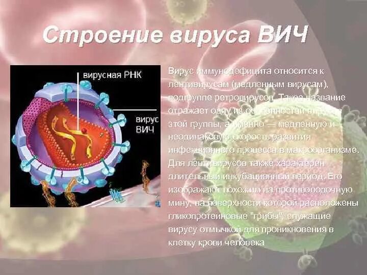 Строение вич. Строение вириона ВИЧ. Строение вируса ВИЧ инфекции. ВИЧ структура вириона. Структура вируса ВИЧ микробиология.