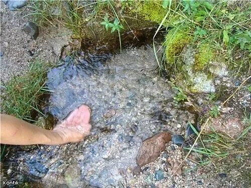 Видели в лесу родник с оранжевыми. Родник Родничок. Родник с ключевой водой. Вода из ручья. Родник из земли.