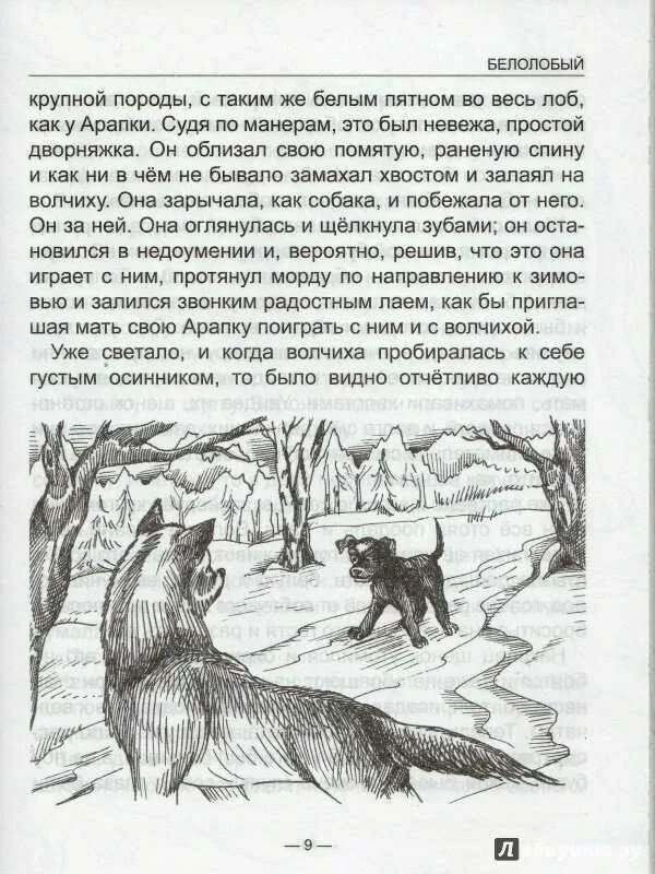 А п чехов рассказы читать полностью. Рассказ а п чехова белолобый. чехов рассказы для детей белолобый. белолобый чехов волчиха. рассказ а п чехова белолобый читать.