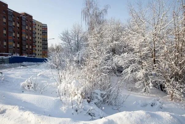 Орехово зуево погода на неделю 14. Орехово-Зуево зима. Орехово Зуево зима лес. Орехово-Зуево зимой. Орехово-Зуево климат.