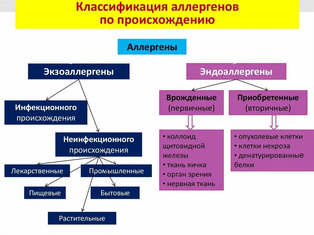 Наследственная аллергия. Классификация аллергенов иммунология. Классификация аллергических реакций по происхождению аллергенов. Классификация аллергенов инфекционные. Классификация аллергенов схема.