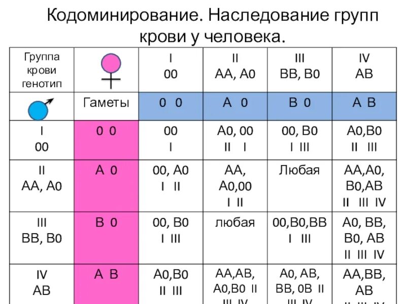 Расчет группы крови. Схема наследования групп крови и резус. Наследование группы крови системы ав0 у человека таблица. Наследование групп крови по системе АВО таблица. Механизм наследования групп крови системы ав0.