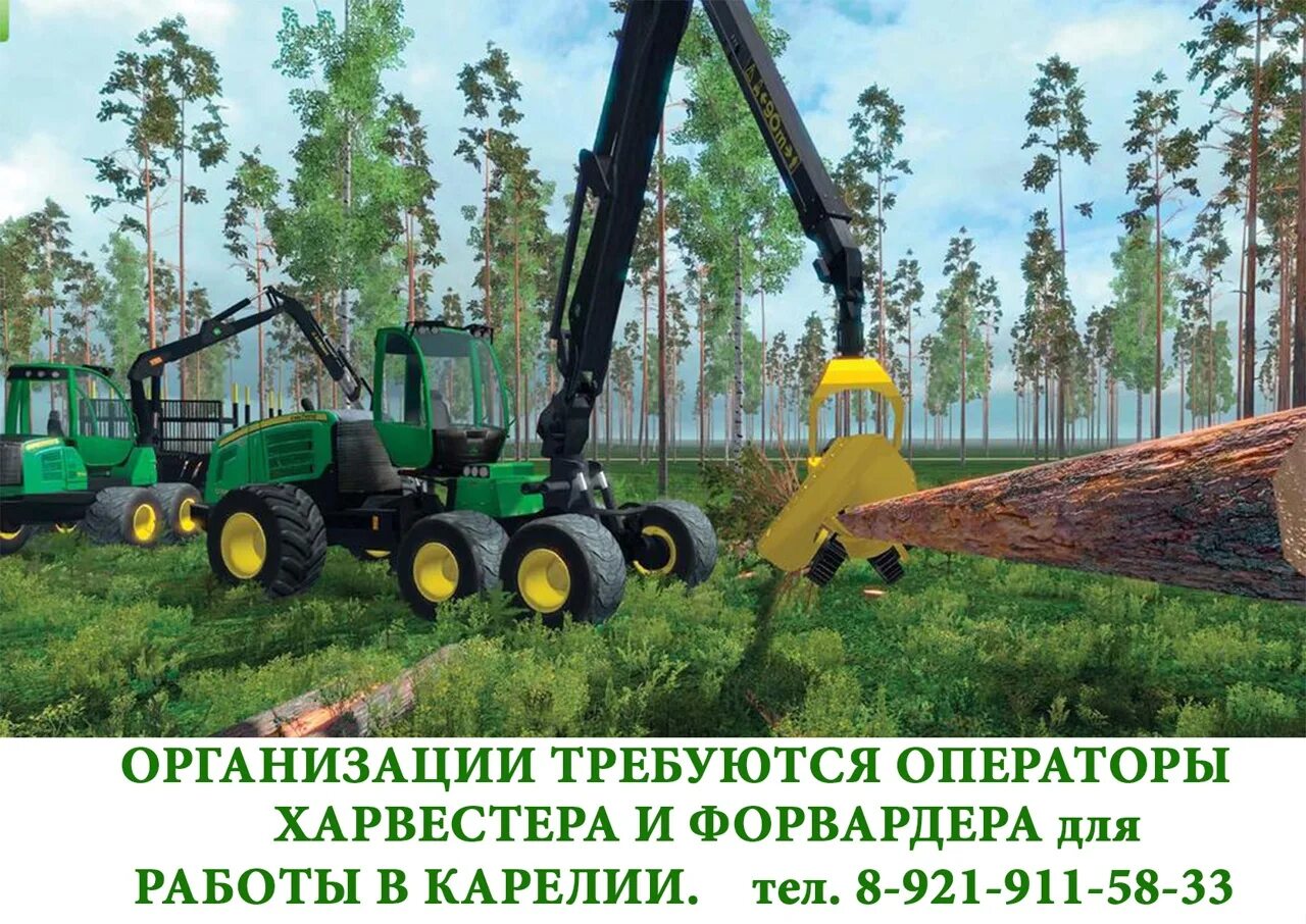 Оператор форвардера пермский край. Форвардер cat 584. оператор харвестера форвардера. операторы на харвестер и форвардер. оператор фор.