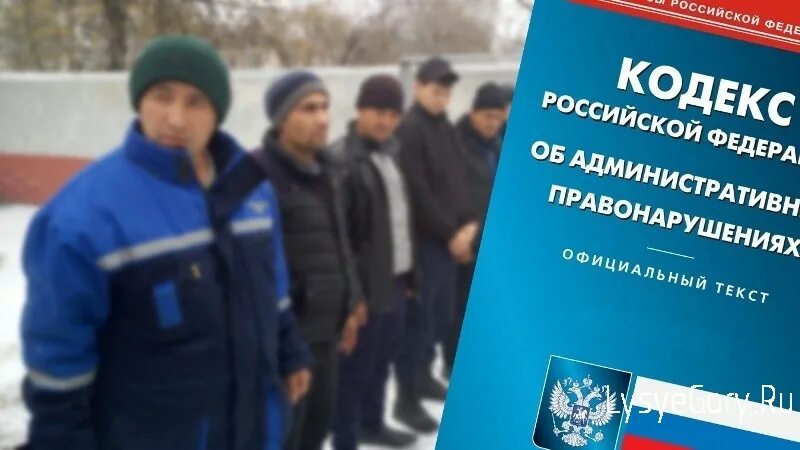 Административная ответственность иностранных граждан. Ответственность за нарушение миграционного законодательства. ответственность в сфере нарушения миграционного законодательства. профилактика нарушений миграционного законодательства. миграционный контроль в российской федерации.