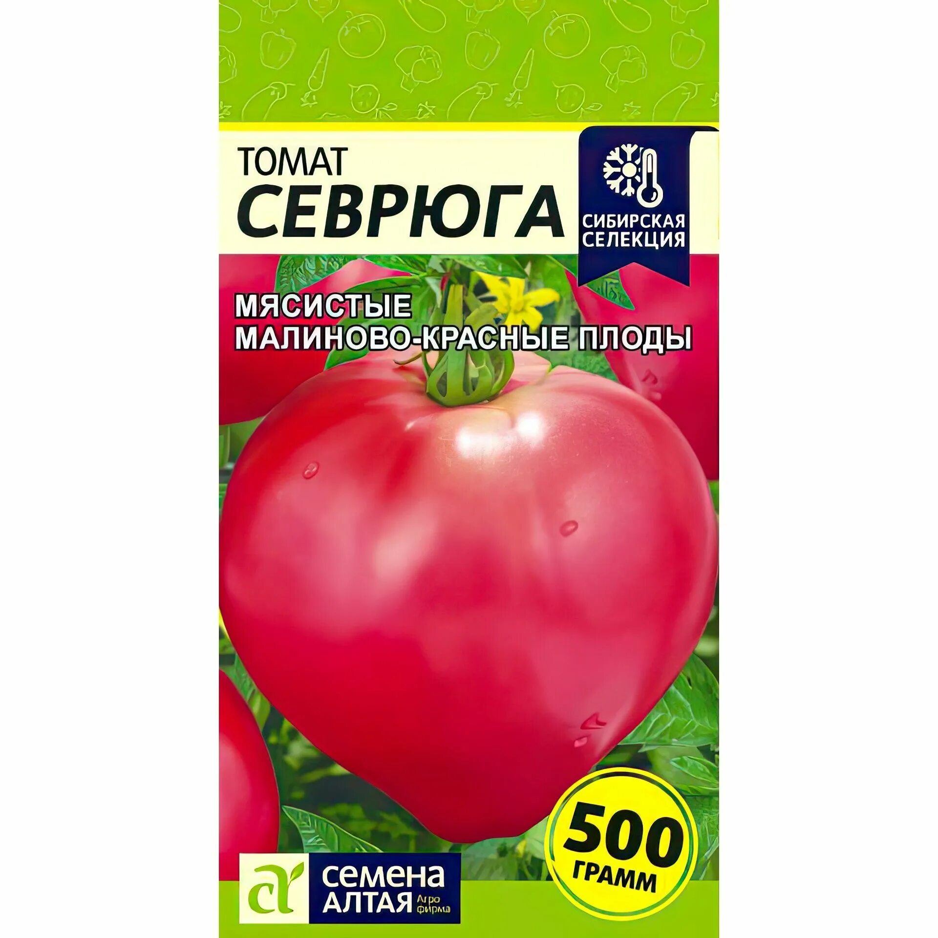 Томат пудовик (севрюга)
