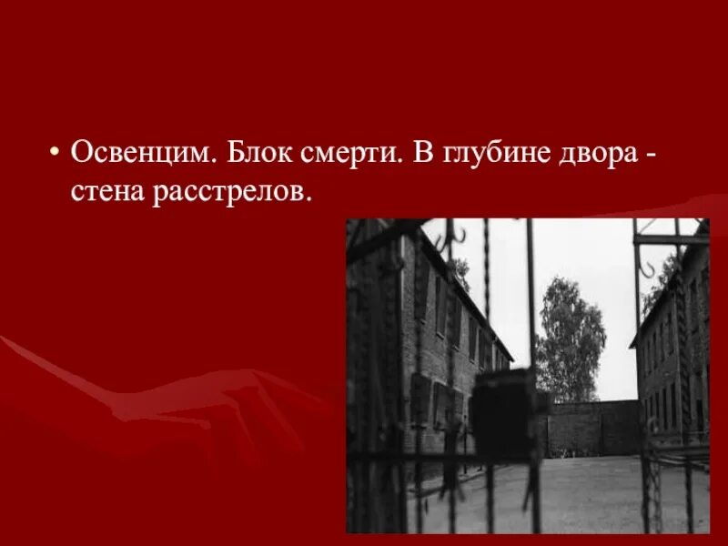 Узники фашистских концлагерей презентация. Освенцим Расстрельная стена. Освенцим стена расстрела. Узники концлагеря Майданек.