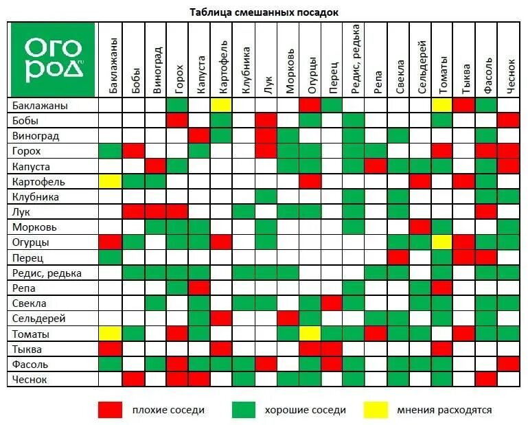 Соседство грядок на огороде. Таблица смешанных посадок овощей на огороде. Таблица совместимости посадки овощей на огороде. Таблица посадки огородных растений совместимость. Совместимость посадки овощей в огороде на грядках таблица.