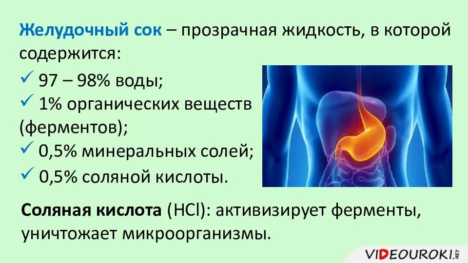 Рвота желудочным соком. Концентрация соляной кислоты в желудке. Нормальные компоненты желудочного сока.